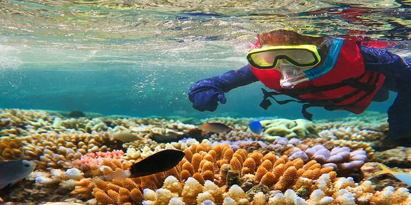 Discover 10 Incredible Snorkeling Locations Around the World